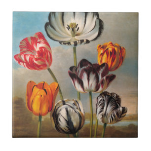 Carreau Fleurs de tulipes variées vintage dans un paysage