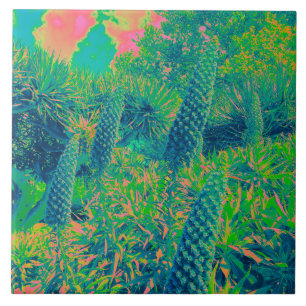 Carreau Fleurs d'Echium Vibe tropicale