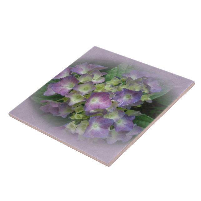 Carreau Fleurs d'Hydrangée Bleue Violet (Côté)