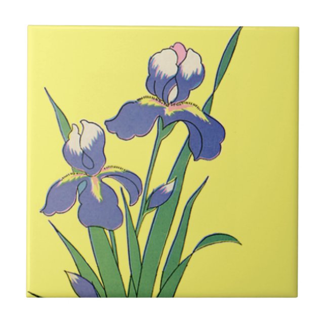 Carreau Fleurs d'iris de jardin de printemps florales vint (Devant)