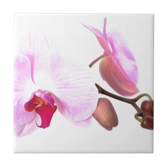 Carreau Fleurs d'orchidées aziza (Devant)