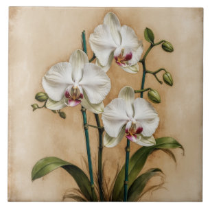 Carreau Fleurs d'orchidées blanches Botanique Vintage
