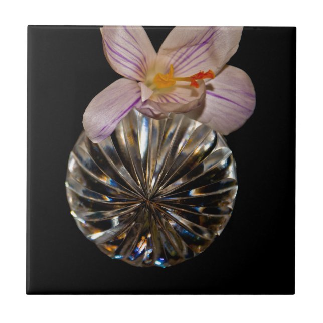 Carreau Fleurs et cristal (Devant)