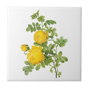 Carreau Fleurs Florales Vintage, Roses Jaunes par Redoute
