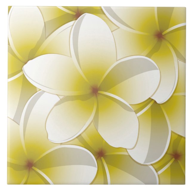 Carreau Fleurs frangipani/Plumeria (Devant)