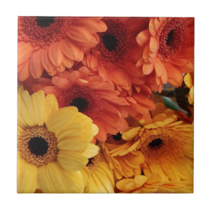 Carreau Fleurs Gerbera Lumineuses, Jaune Orange, Flora