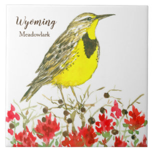 Carreau Fleurs indiennes de pinceau Meadowlark Wyoming