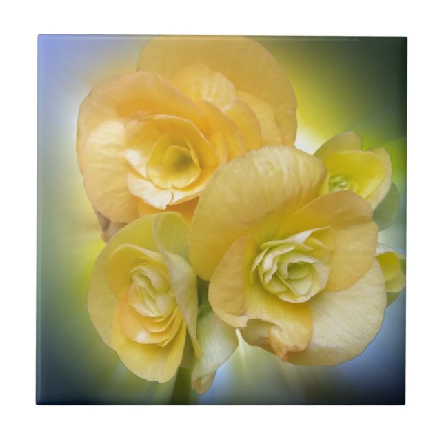 Carreau fleurs jaunes brillant (Devant)