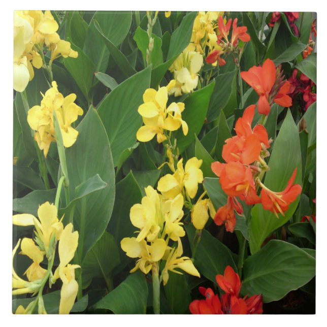 Carreau Fleurs jaunes et rouges (Devant)