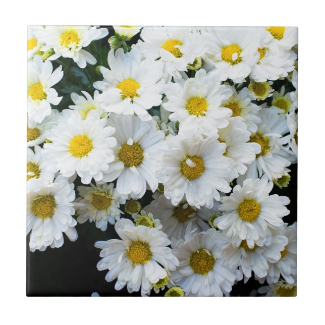 Carreau Fleurs marguerites blanches (Devant)