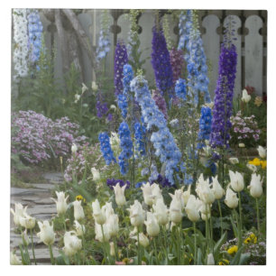 Carreau Fleurs printanières le long d'un chemin de jardin,