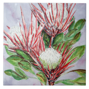 Carreau Fleurs Protea
