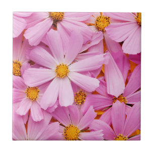Carreau Fleurs roses