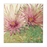Carreau Fleurs roses de cactus<br><div class="desc">Cactus Pink Blossoms Artiste : Tim OToole</div>