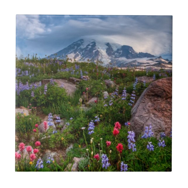 Carreau Fleurs sauvages (Devant)