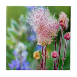 Carreau Fleurs sauvages de Prairie Smoke dans Aspen Grove 