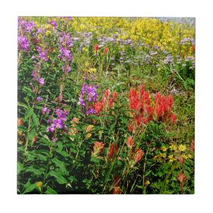 Carreau Fleurs sauvages des Rocheuses