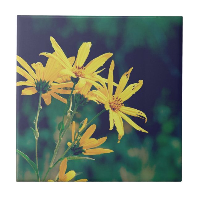 Carreau Fleurs sauvages d'été (Devant)