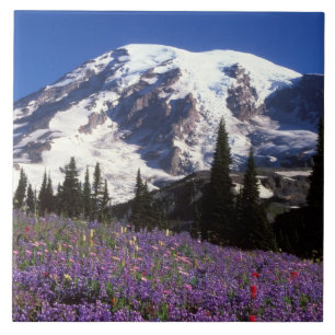 Carreau fleurs sauvages estivales au pied du mont Rainier,
