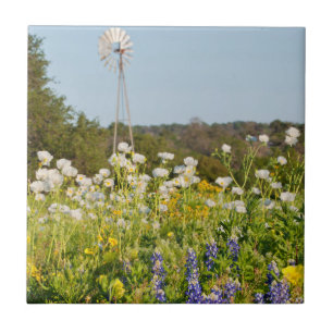 Carreau Fleurs sauvages et moulin à vent dans Texas Hill C