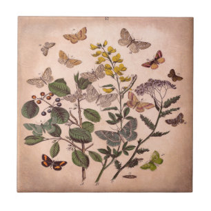 Carreau Fleurs sauvages floraux botaniques vintages