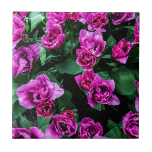 Carreau Fleurs tulipes roses