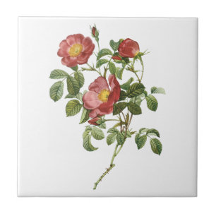 Carreau Fleurs Vintage Floral Rose Rouge d'Amour par Redou