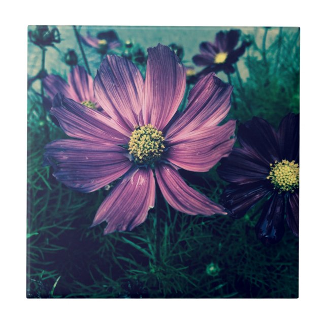 Carreau Fleurs Violet Foncé Photo Art (Devant)