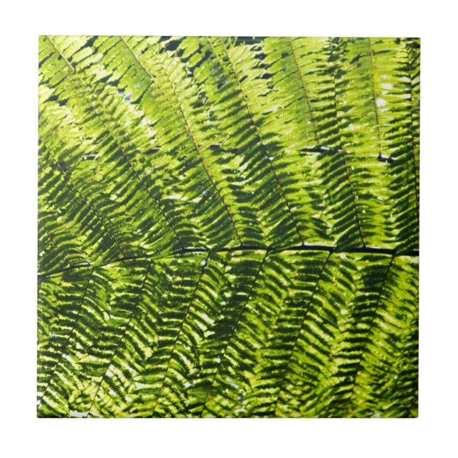 Carreau Flora Dominique 5 (Devant)