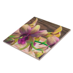 Carreau Floraison d'orchidées