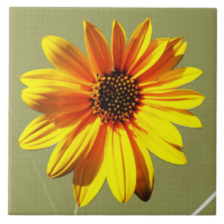 Carreau floral