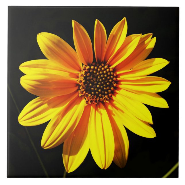Carreau floral (Devant)