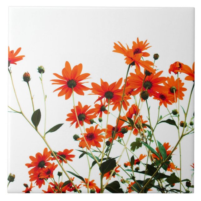 Carreau floral (Devant)