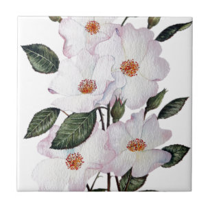 Carreau Floral Art de Roses