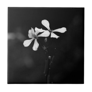 Carreau floral noir et blanc minimaliste