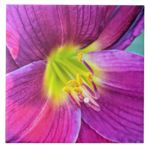 Carreau Floral rose Daylily