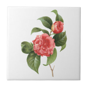 Carreau Floral vintage, Fleurs de Camellia Rose par Redout