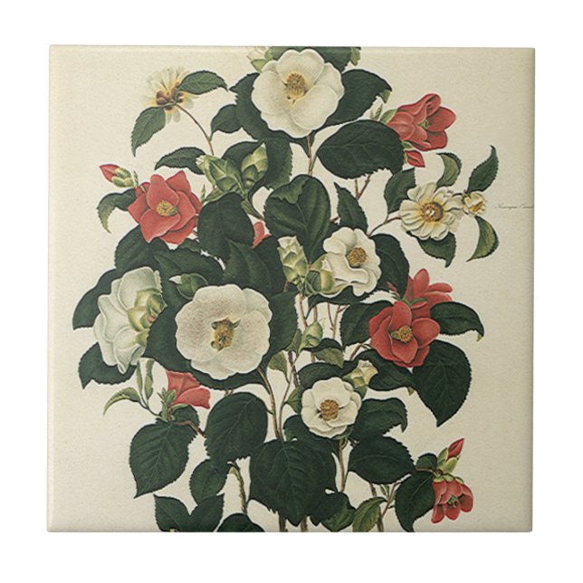 Carreau Floral vintage, Jardin antique Fleurs Roses (Devant)