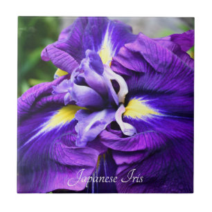 Carreau Floral violet japonais Iris