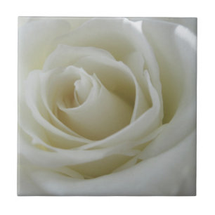 Carreau Flore