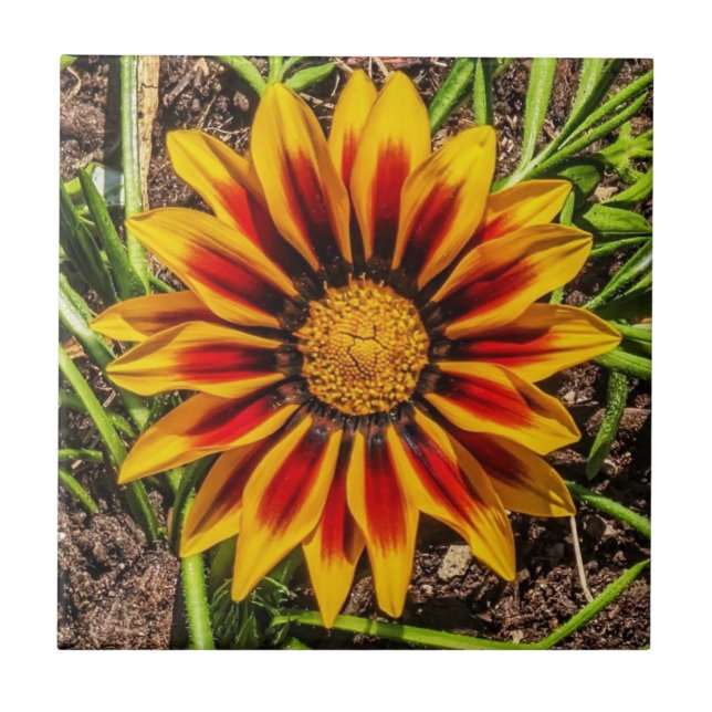 Carreau Flore 1 Carrelage (Devant)