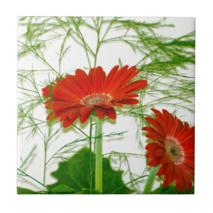 Carreau Flore rouge