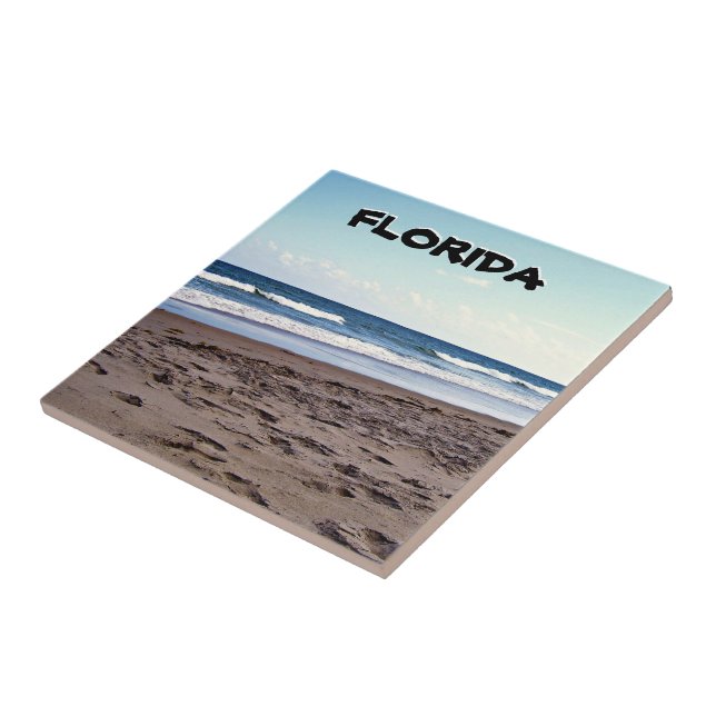 Carreau Florida Coastal Shoreline Beach Scene (Côté)