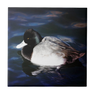 Carreau Flottement avec le soleil