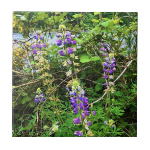 Carreau Flowers on the Trail, Oregon