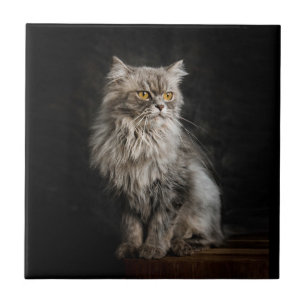Carreau Fluffy Gris