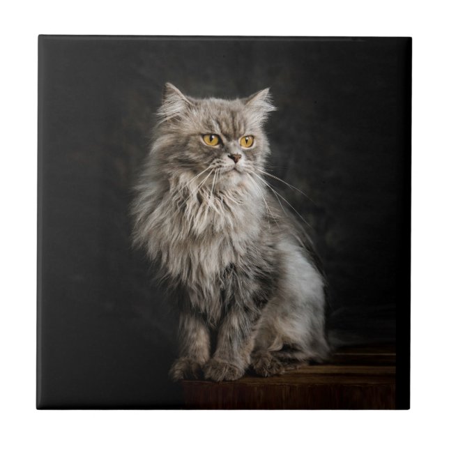 Carreau Fluffy Gris (Devant)