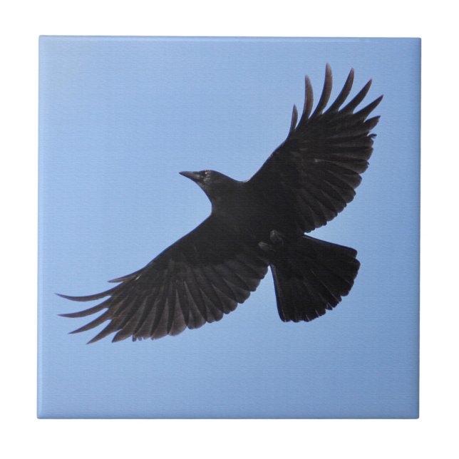 Carreau Flying Black Raven Corvid Crow-lover Photo Design (Devant)