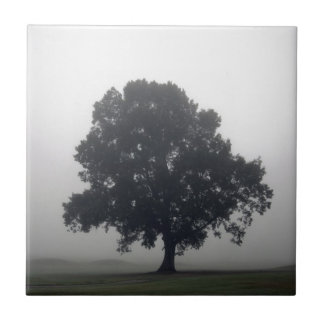 Carreau Foggy Tree