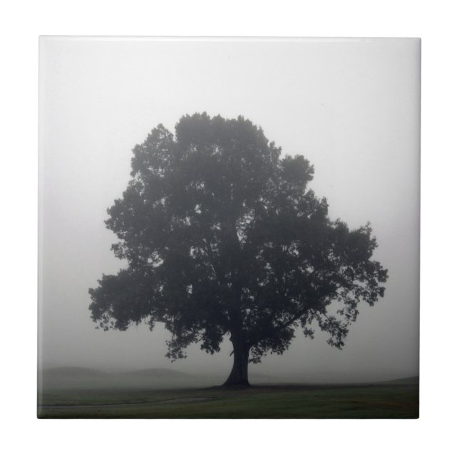 Carreau Foggy Tree (Devant)